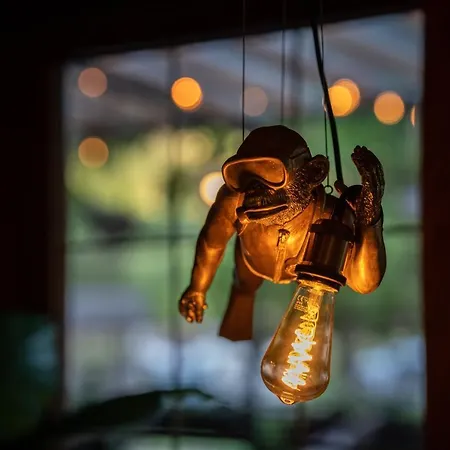 Engel 16, Boutique - Adults Only