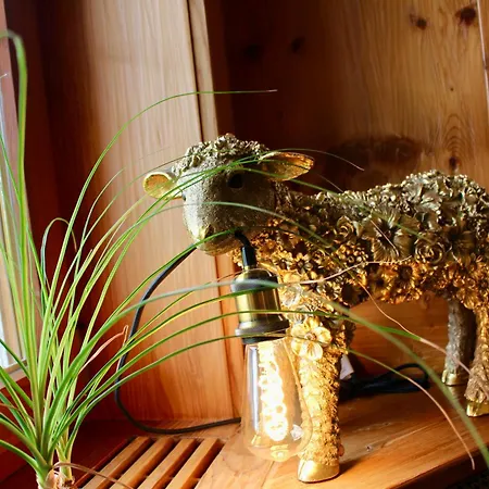 فندق Engel 16, Boutique - Adults Only