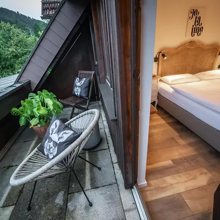 Engel 16 (adults Only) Hotell Gutach