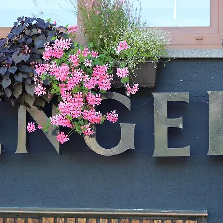 Engel 16, Boutique - Adults Only *