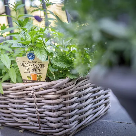 Engel 16, Boutique - Adults Only